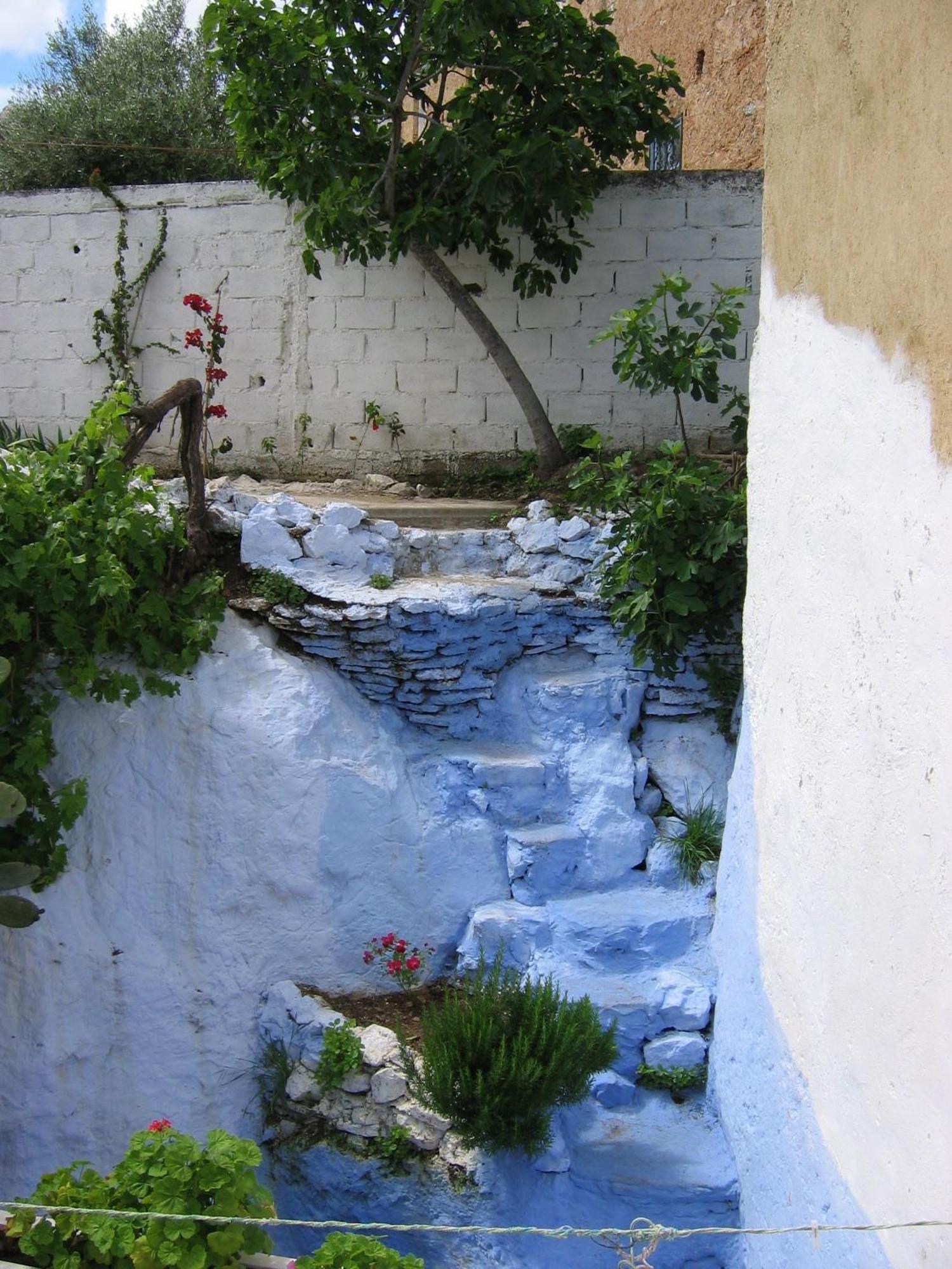 Dar Dalia Bed & Breakfast Şafşavan Dış mekan fotoğraf